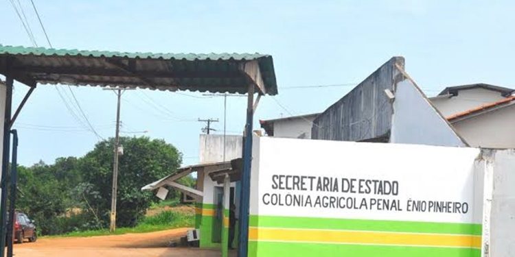 Apenados não terão direito ao indulto natalino em Rondônia