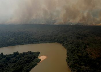 Brasil registra mais de 200 mil focos de queimadas em 2020; número é o maior na década