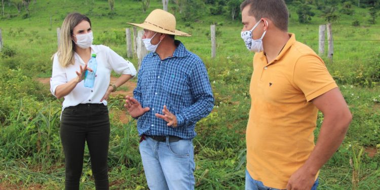 Prefeita de Ariquemes visita produtor de silagem de milho e criador de gado leiteiro