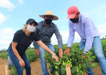 Prefeita Carla Redano visita produtores e garante apoio ao Homem do Campo