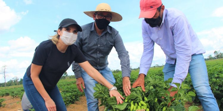 Prefeita Carla Redano visita produtores e garante apoio ao Homem do Campo