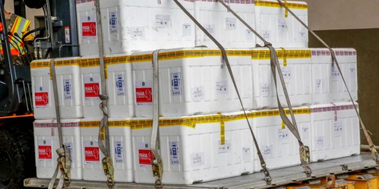 Ministério da Saúde projeta nova remessa de vacinas contra a Covid-19 para Rondônia