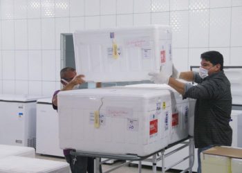 Cerca de 200 mil vacinas contra Covid foram distribuídas em 58 dias