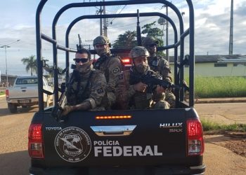 Madeireiras são alvos de operação da Polícia Federal e IBAMA