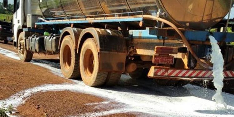 Três laticínios paralisam coleta de leite em Rondônia Três laticínios paralisam coleta de leite em Rondônia