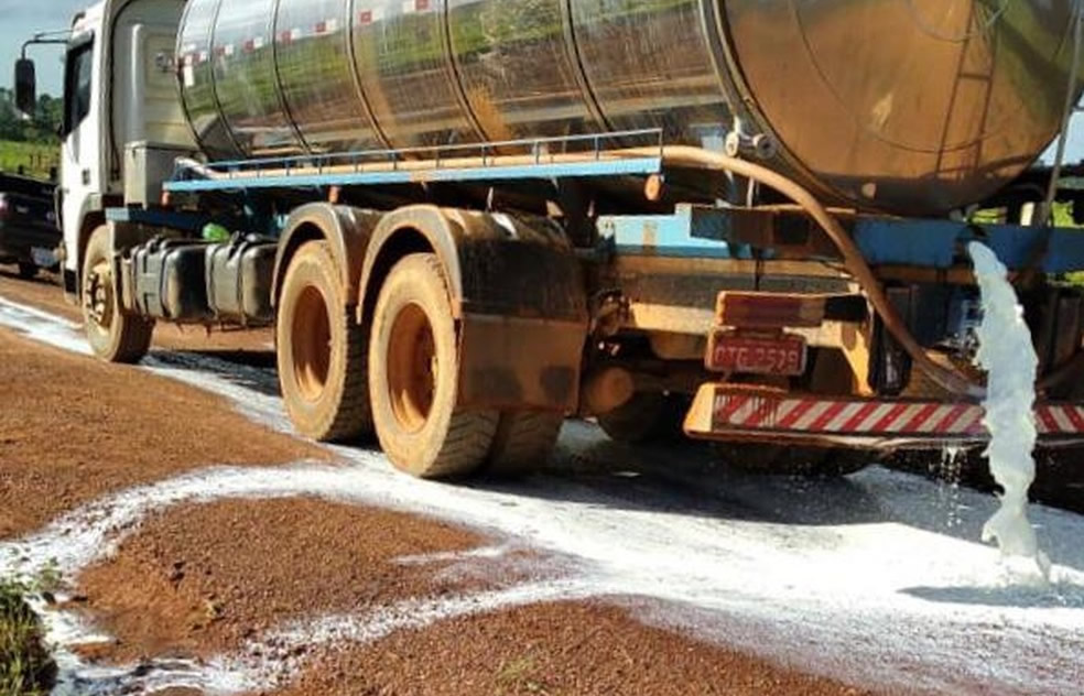 Três laticínios paralisam coleta de leite em Rondônia Três laticínios paralisam coleta de leite em Rondônia
