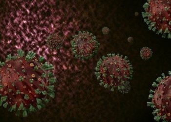 Estudo apresenta proteína capaz de impedir infecção do vírus da covid