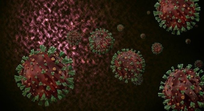 Estudo apresenta proteína capaz de impedir infecção do vírus da covid Estudo apresenta proteína capaz de impedir infecção do vírus da covid