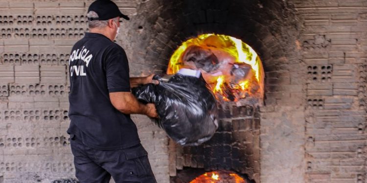 Denarc incinera mais de 800 quilos de entorpecentes em Porto Velho Denarc incinera mais de 800 quilos de entorpecentes em Porto Velho