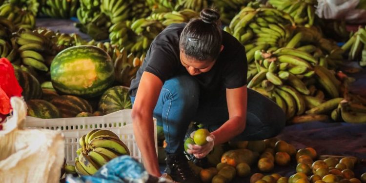 Governo destina mais de R$ 700 mil para compra de alimentos da agricultura familiar