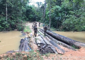 Polícia Federal deflagra operação na Terra Indígena Karipuna em Porto Velho