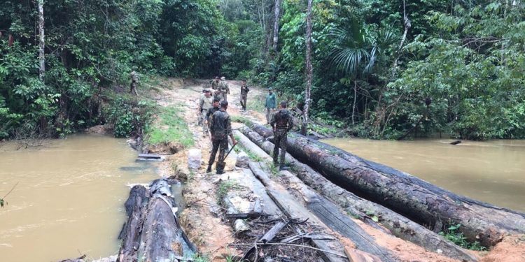 Polícia Federal deflagra operação na Terra Indígena Karipuna em Porto Velho Polícia Federal deflagra operação na Terra Indígena Karipuna em Porto Velho