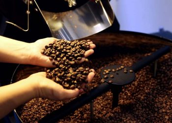 Consumo mundial de café atinge volume de 167,58 milhões de sacas