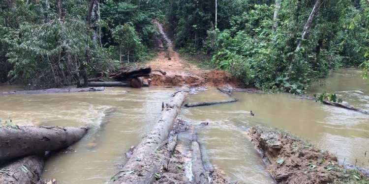Alertas de desmatamento em Rondônia aumentam 101% em maio de 2021 Alertas de desmatamento em Rondônia aumentam 101% em maio de 2021
