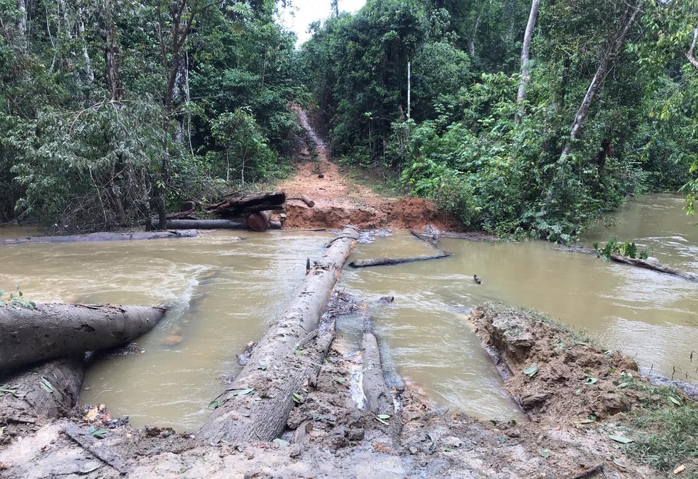 Alertas de desmatamento em Rondônia aumentam 101% em maio de 2021 Alertas de desmatamento em Rondônia aumentam 101% em maio de 2021