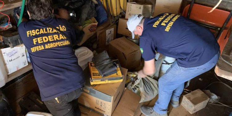 Força-tarefa apreende produtos agropecuários irregulares na fronteira em Rondônia Força-tarefa apreende produtos agropecuários irregulares na fronteira em Rondônia