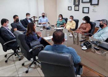 Retorno das aulas presenciais em Rondônia é tema de reunião entre TCE, MPC, MP, Agevisa e representantes dos profissionais da educação