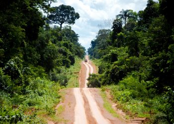 Desmatamento da Amazônia pode reduzir chuva anual em até 70%, aponta estudo