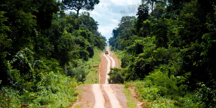 Desmatamento da Amazônia pode reduzir chuva anual em até 70%, aponta estudo