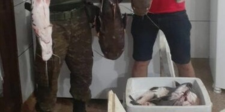 Operação contra pesca predatória apreende mais de 100 kg de peixes em duas cidades de Rondônia