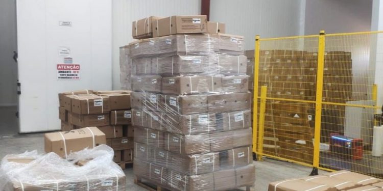Peixes congelados seguem de Ariquemes para 26 estados e DF