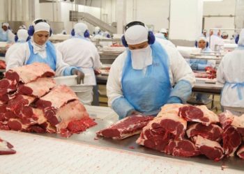 Suspensão de exportação de carne para a China permanece bloqueada