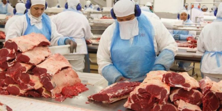 Suspensão de exportação de carne para a China permanece bloqueada