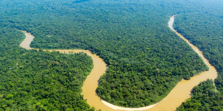 MP expede recomendação para vetar projeto que enfraquece a proteção ambiental em Rondônia MP expede recomendação para vetar projeto que enfraquece a proteção ambiental em Rondônia
