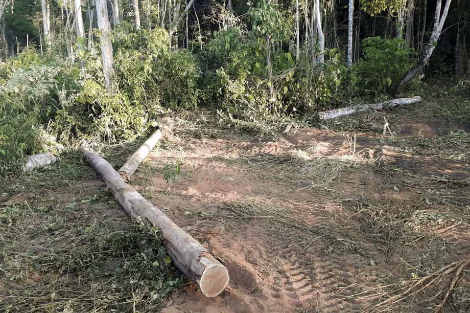 Dados do Inpe Rondônia teve alerta de desmatamento de 90km² em outubro Dados do Inpe Rondônia teve alerta de desmatamento de 90km² em outubro