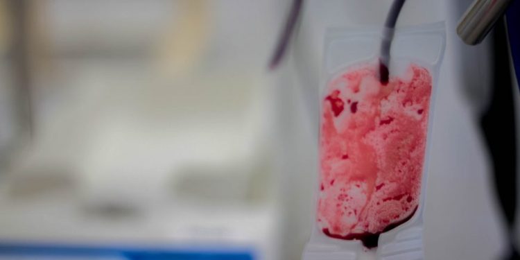 Rondônia sanciona lei que incentiva doação de sangue por meio de mensagens