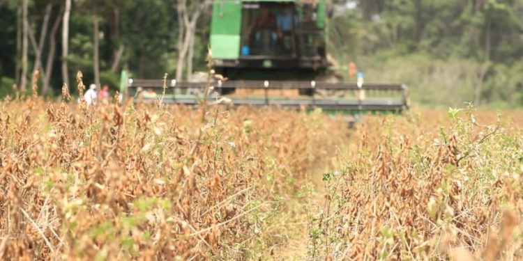 Potencialidades do agronegócio serão apresentadas no Fórum de Prefeitos e Vereadores Potencialidades do agronegócio serão apresentadas no Fórum de Prefeitos e Vereadores