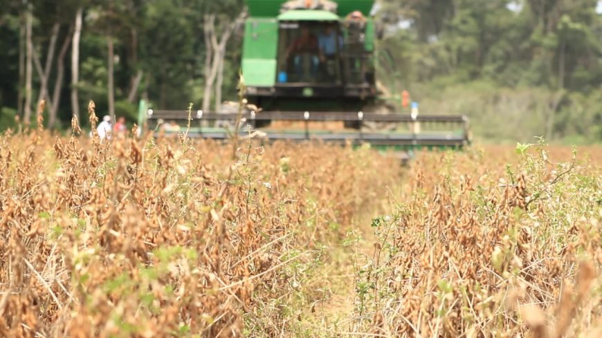 Potencialidades do agronegócio serão apresentadas no Fórum de Prefeitos e Vereadores Potencialidades do agronegócio serão apresentadas no Fórum de Prefeitos e Vereadores
