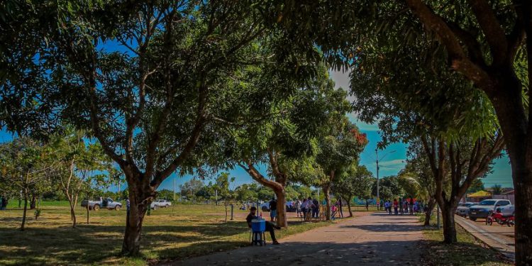 Ações de Meio Ambiente foram pautadas em projetos ecológicos e de atividades educativas em Rondônia