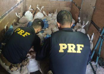 PRF identifica transporte ilegal de Cassiterita em Ariquemes