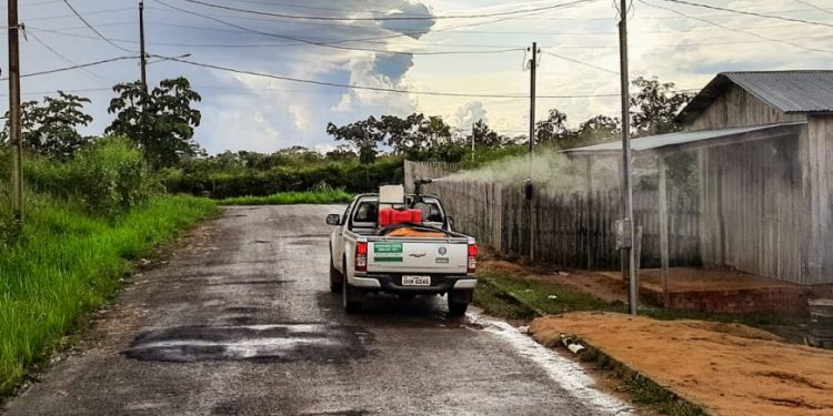 Casos de dengue aumentam 55% em Rondônia; Agevisa alerta população para vigilância ativa