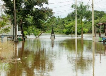 Nível do rio Machado continua subindo e supera marca histórica; segundo a Defesa Civil, mais de 600 casas já foram atingidas