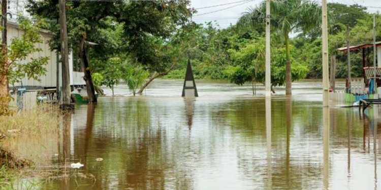 Nível do rio Machado continua subindo e supera marca histórica; segundo a Defesa Civil, mais de 600 casas já foram atingidas