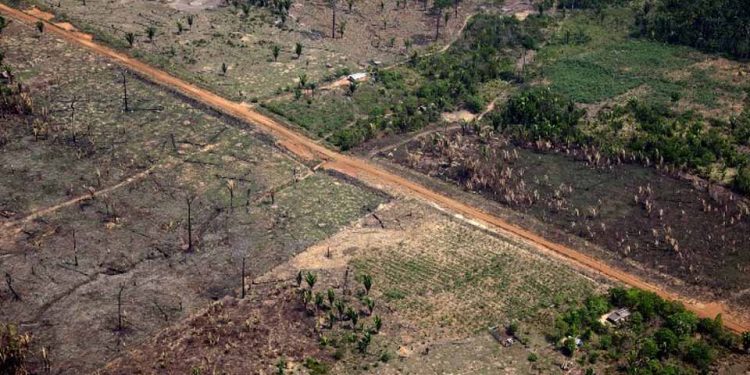 Porto Velho está entre os 12 municípios com maior desvalorização do preço por hectare Porto Velho está entre os 12 municípios com maior desvalorização do preço por hectare