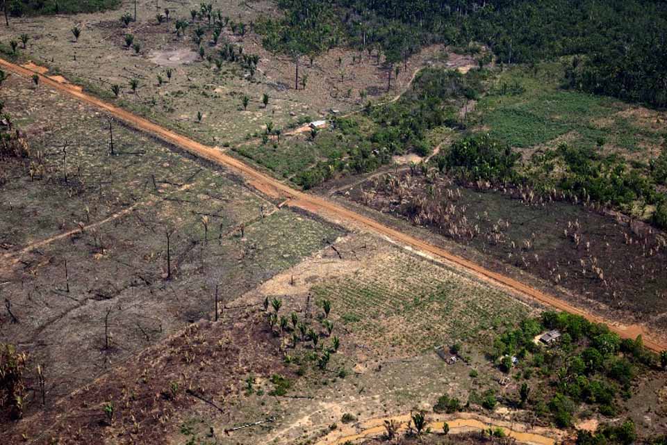 Porto Velho está entre os 12 municípios com maior desvalorização do preço por hectare Porto Velho está entre os 12 municípios com maior desvalorização do preço por hectare