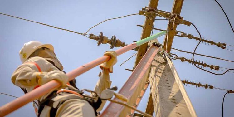 Mil km de cabos de energia foram renovados em 2021 em Rondônia Mil km de cabos de energia foram renovados em 2021 em Rondônia