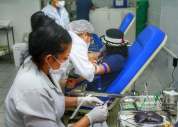 Medula óssea é cada vez mais essencial para transplantes no país