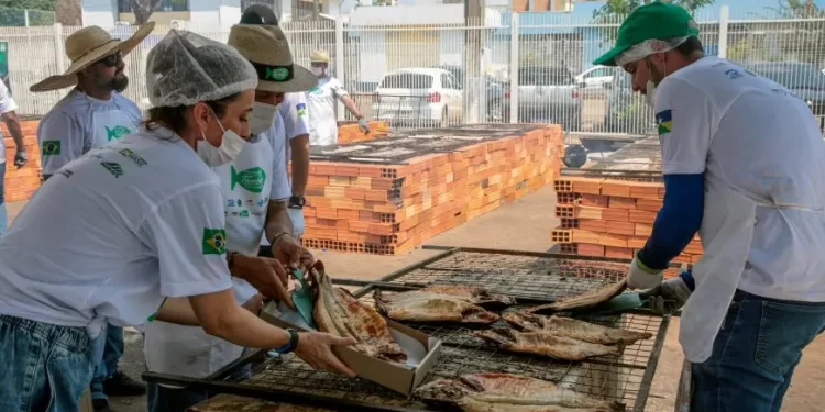 Primeiras 20 toneladas de tambaqui de Rondônia chegam aos Estados Unidos em abril