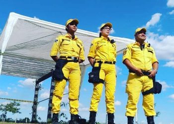 Deputados aprovam Lei que obriga empresas privadas de vários segmentos a contratar Bombeiros Civis