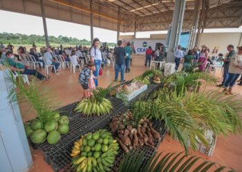 Central de Abastecimento de Rondônia vai fortalecer o agronegócio do Estado