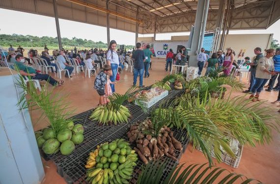 Central de Abastecimento de Rondônia vai fortalecer o agronegócio do Estado