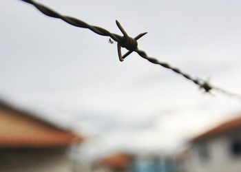 Rondônia é estado com maior número de assassinatos por conflitos no campo