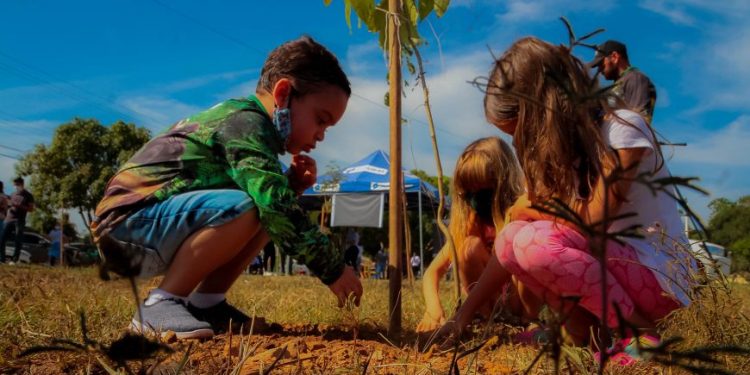 Sedam promove programação especial para celebrar o Dia Mundial do Meio Ambiente Sedam promove programação especial para celebrar o Dia Mundial do Meio Ambiente