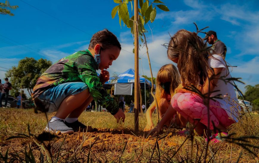 Sedam promove programação especial para celebrar o Dia Mundial do Meio Ambiente Sedam promove programação especial para celebrar o Dia Mundial do Meio Ambiente