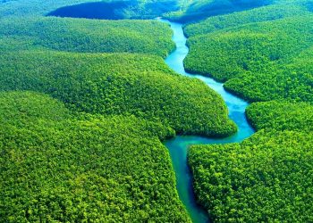 Após vitória de Lula, Noruega anuncia retomada de auxílio à Amazônia