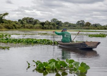 Período do defeso de algumas espécies de peixes segue nos rios de Rondônia